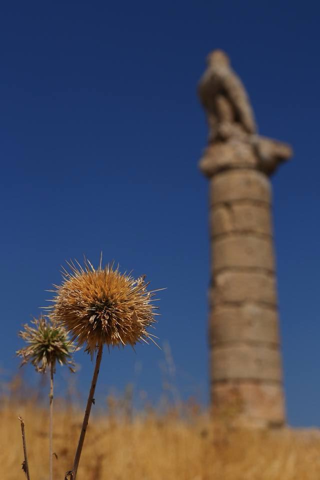 Tour Gallery Image